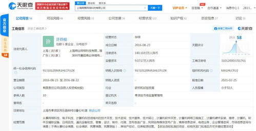 商务信息咨询的价值与实践应用