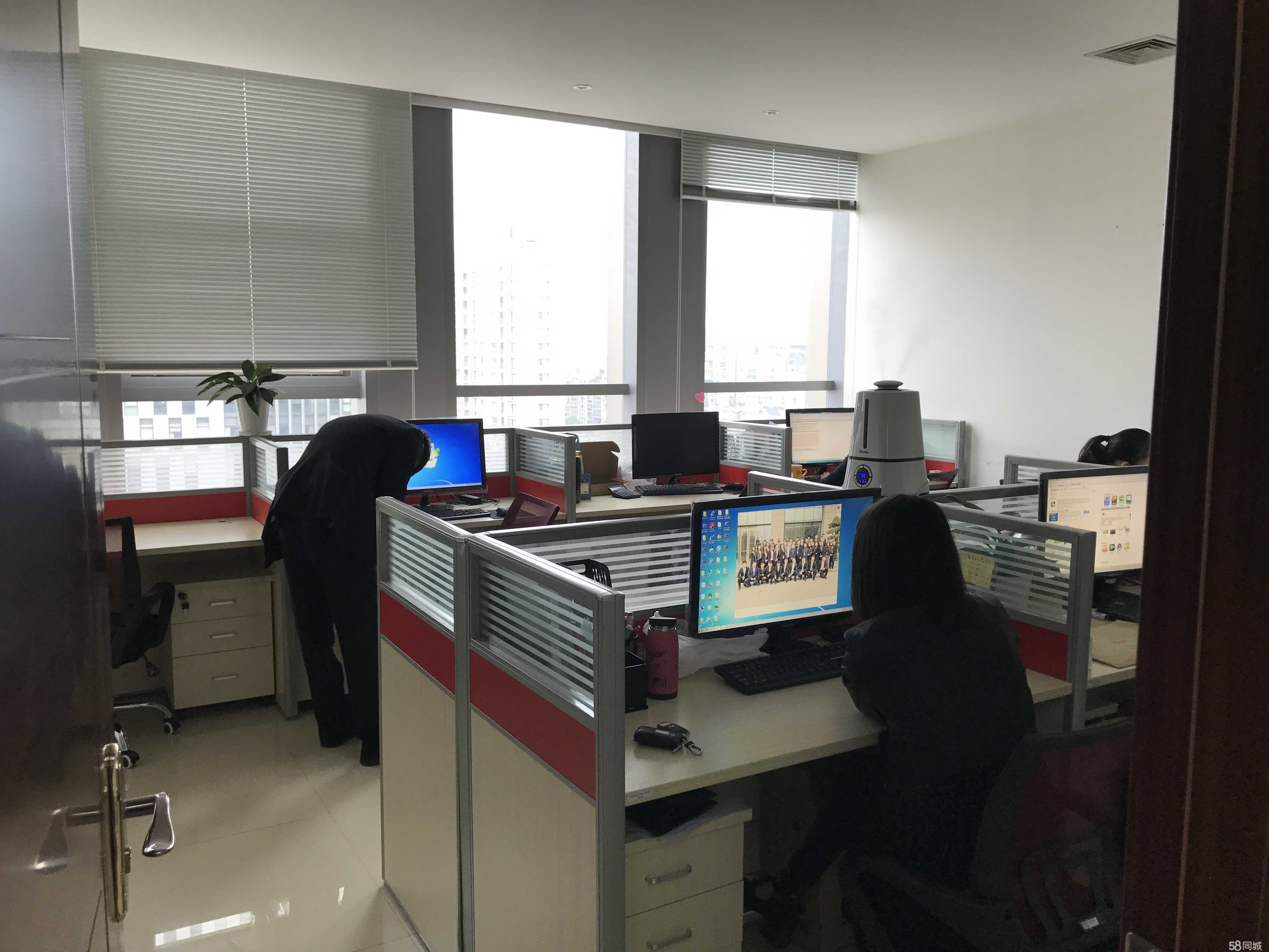 杭州招财猫商务信息咨询云南分公司 为企业赋能，助力区域经济腾飞